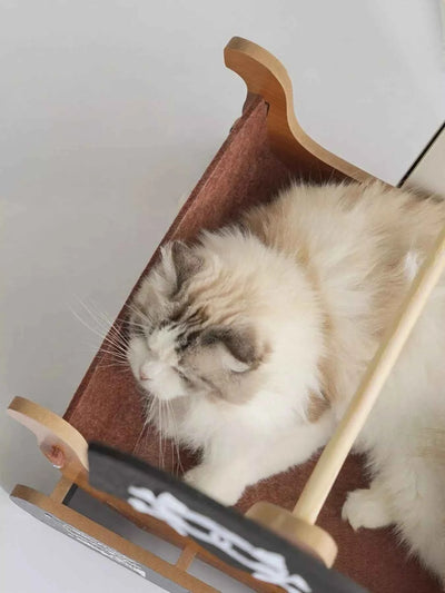 Pirate Ship Style Cat House