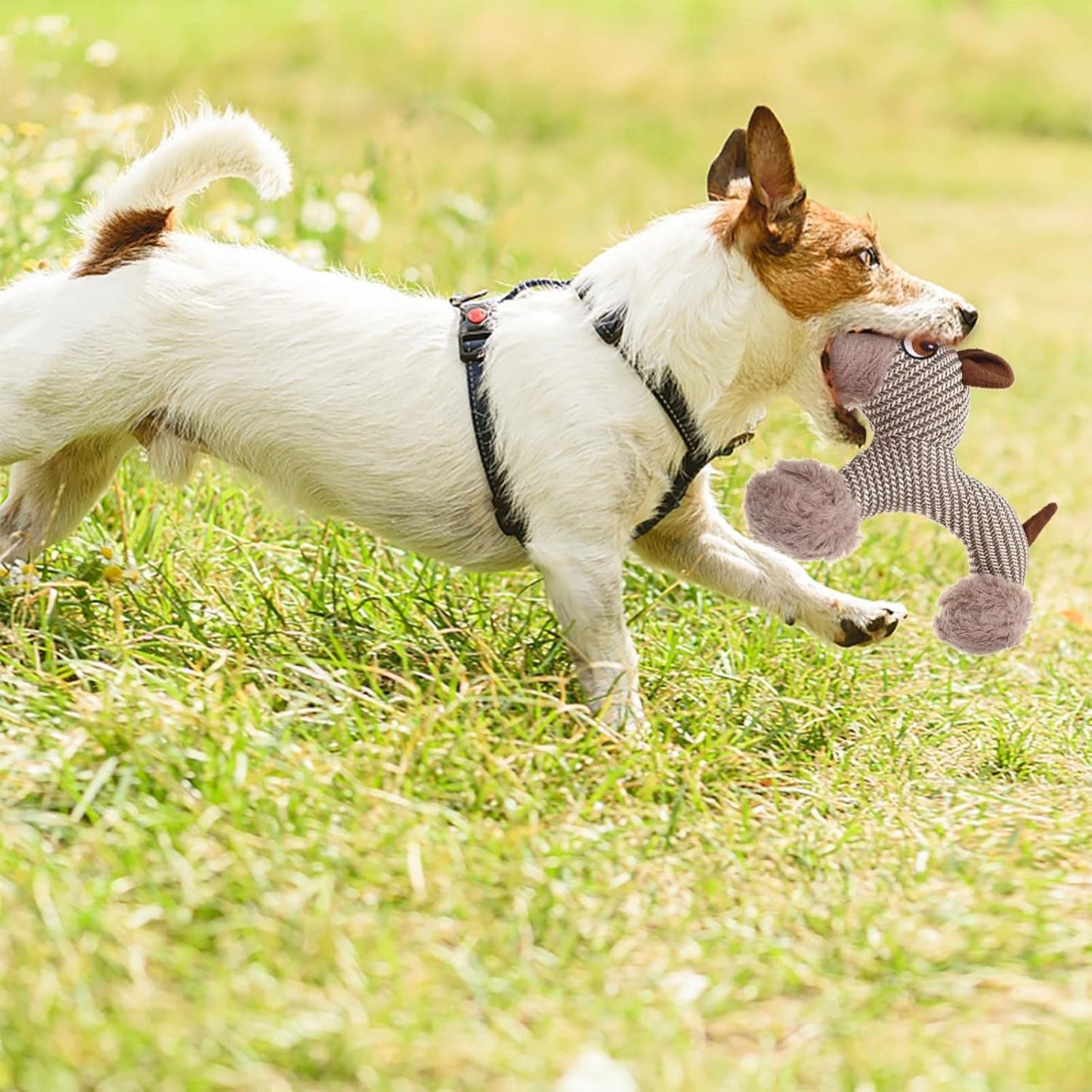 Large Plush Stuffed Animal Interactive Squeaky Dog Chew Toy