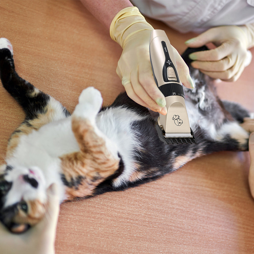 Pet Clippers Professional Electric Pet Hair Shaver - USB Charging | Purrfect Pet Haven