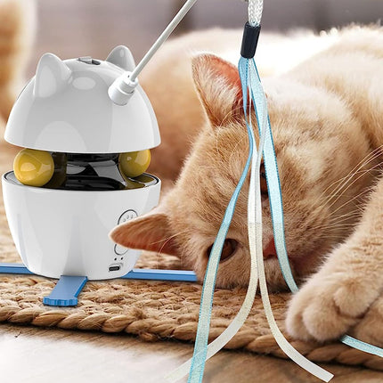 Interactive Indoor Electric Laser and Chasing Cat Toy –USB Charging