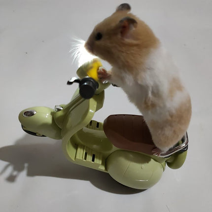 360° Rotating Pet Stunt Motorcycle Toy Battery-Powered