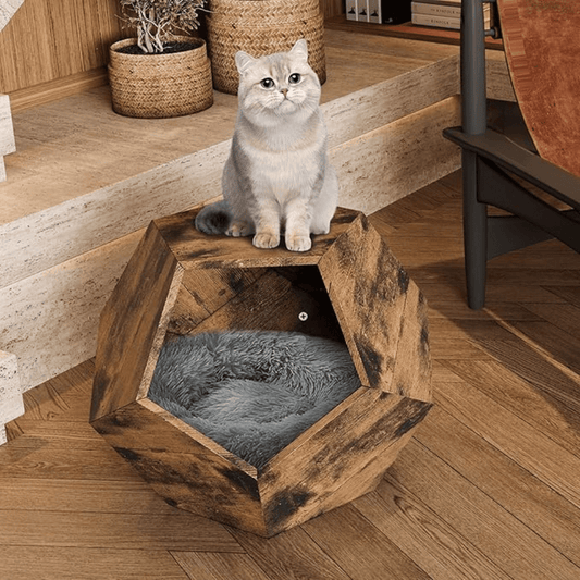 Modern Cat Kennel Side Table | Purrfect Pet Haven