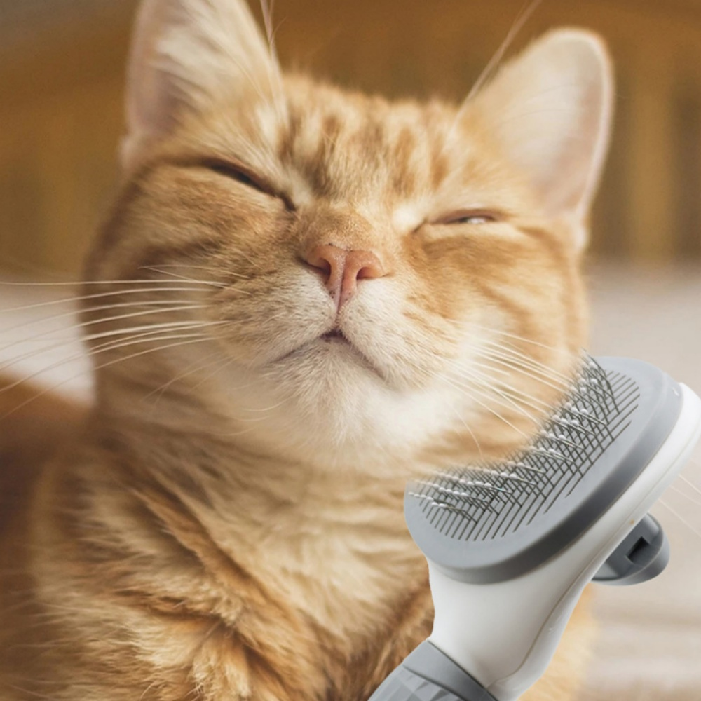 Self Cleaning Pet Hair Remover Brush Pets Dematting Comb | Purrfect Pet Haven