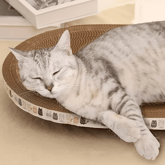 Corrugated Cat Scratcher Oval Grinding Claw Toys for Cats | Purrfect Pet Haven