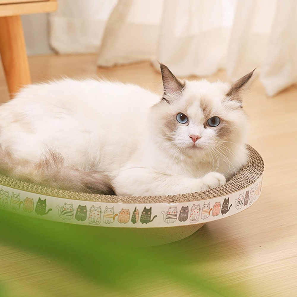 Corrugated Cat Scratcher Oval Grinding Claw Toys for Cats | Purrfect Pet Haven