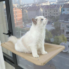 Pet Cat Hammock Hanging Cat Bed Bearing Pet Accessories | Purrfect Pet Haven