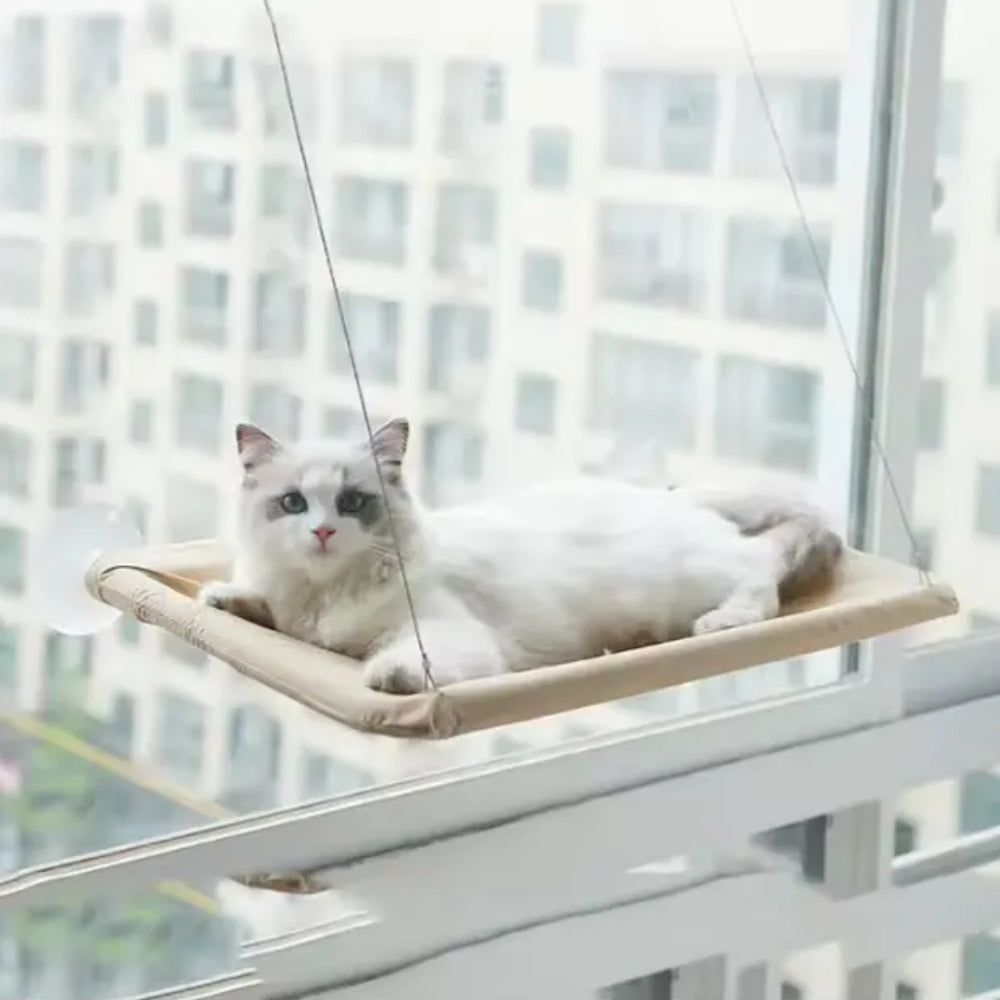 Pet Cat Hammock Hanging Cat Bed Bearing Pet Accessories | Purrfect Pet Haven