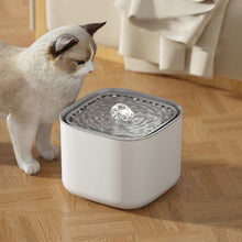 USB Electric Mute 3L Auto Recirculating Cat Water Fountain with Auto Recirculation | Purrfect Pet Haven