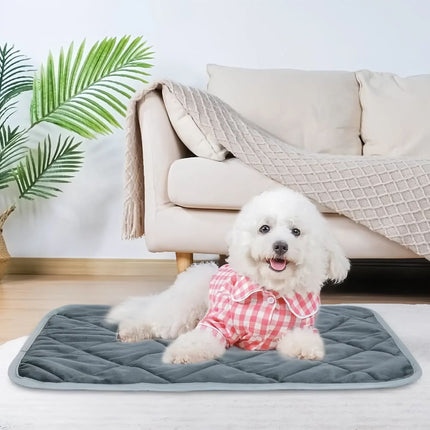 Extra Warm Self Heating Pet Pad for Small and Medium Dogs and Cats