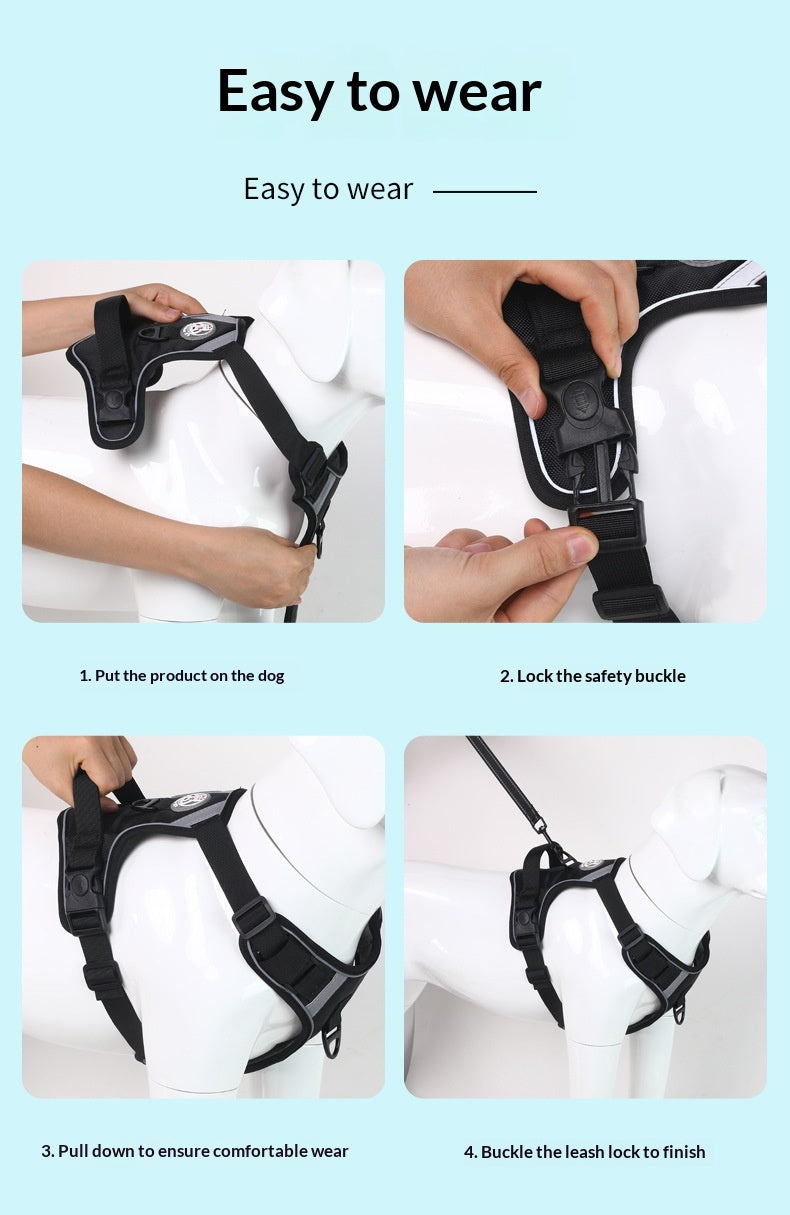 Dog Harness - Large Chest Style with Leash