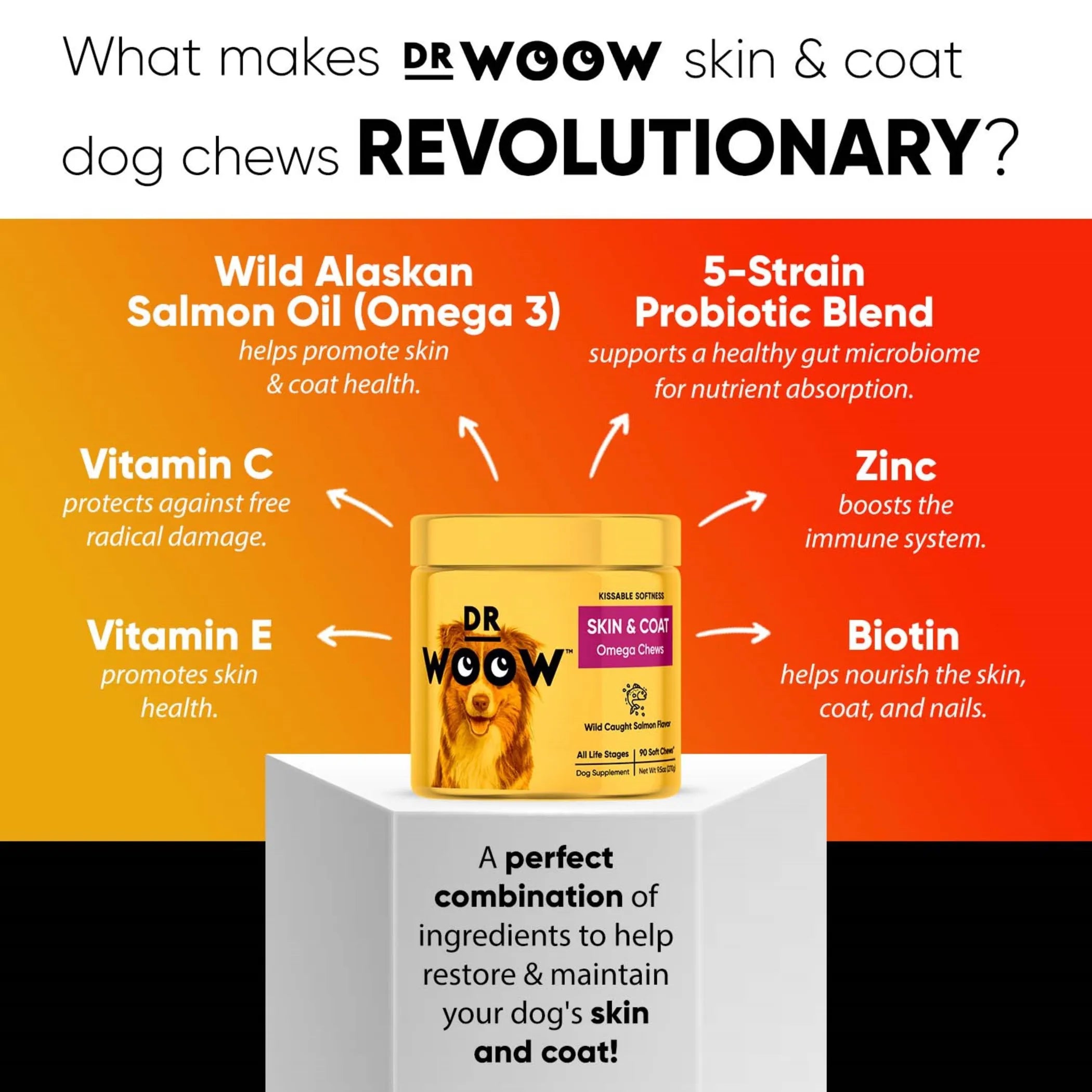 Dr Woow Skin and Coat Soft Chews | Purrfect Pet Haven