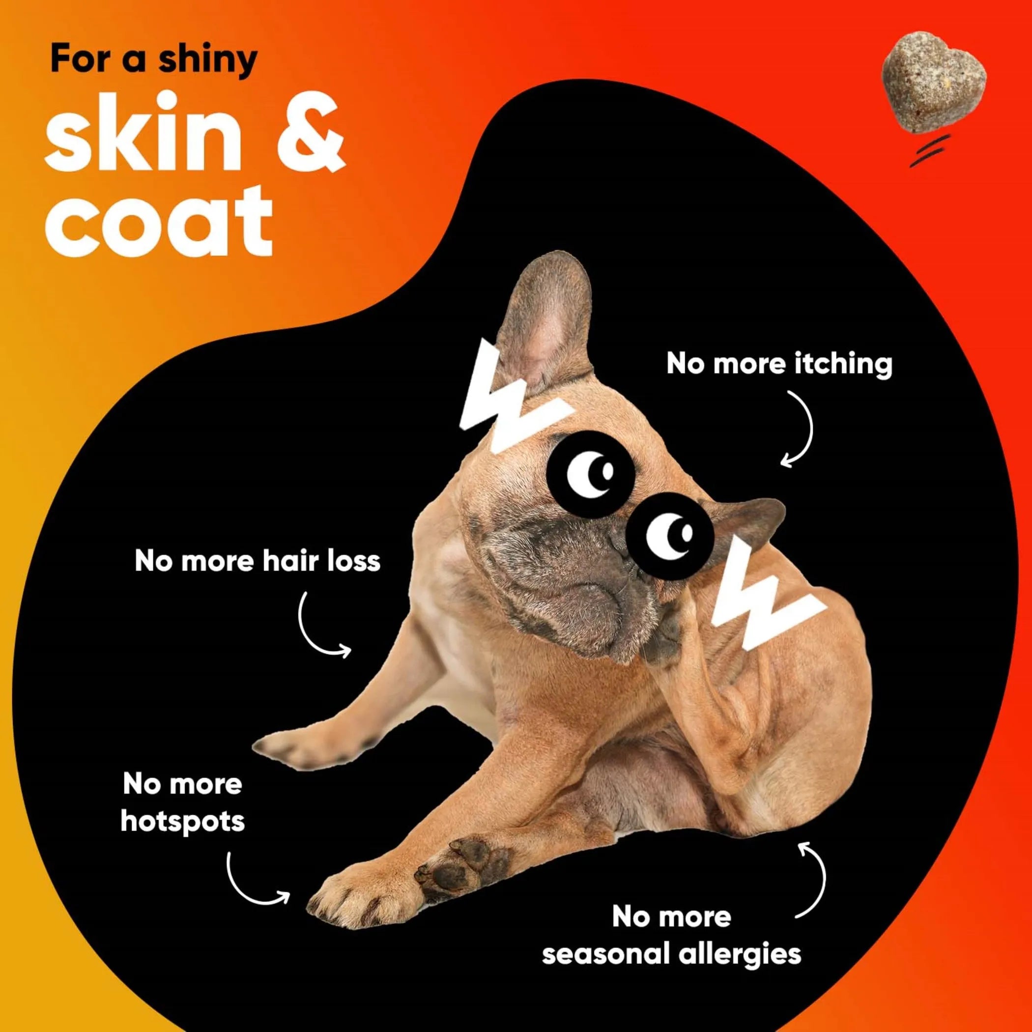 Dr Woow Skin and Coat Soft Chews | Purrfect Pet Haven