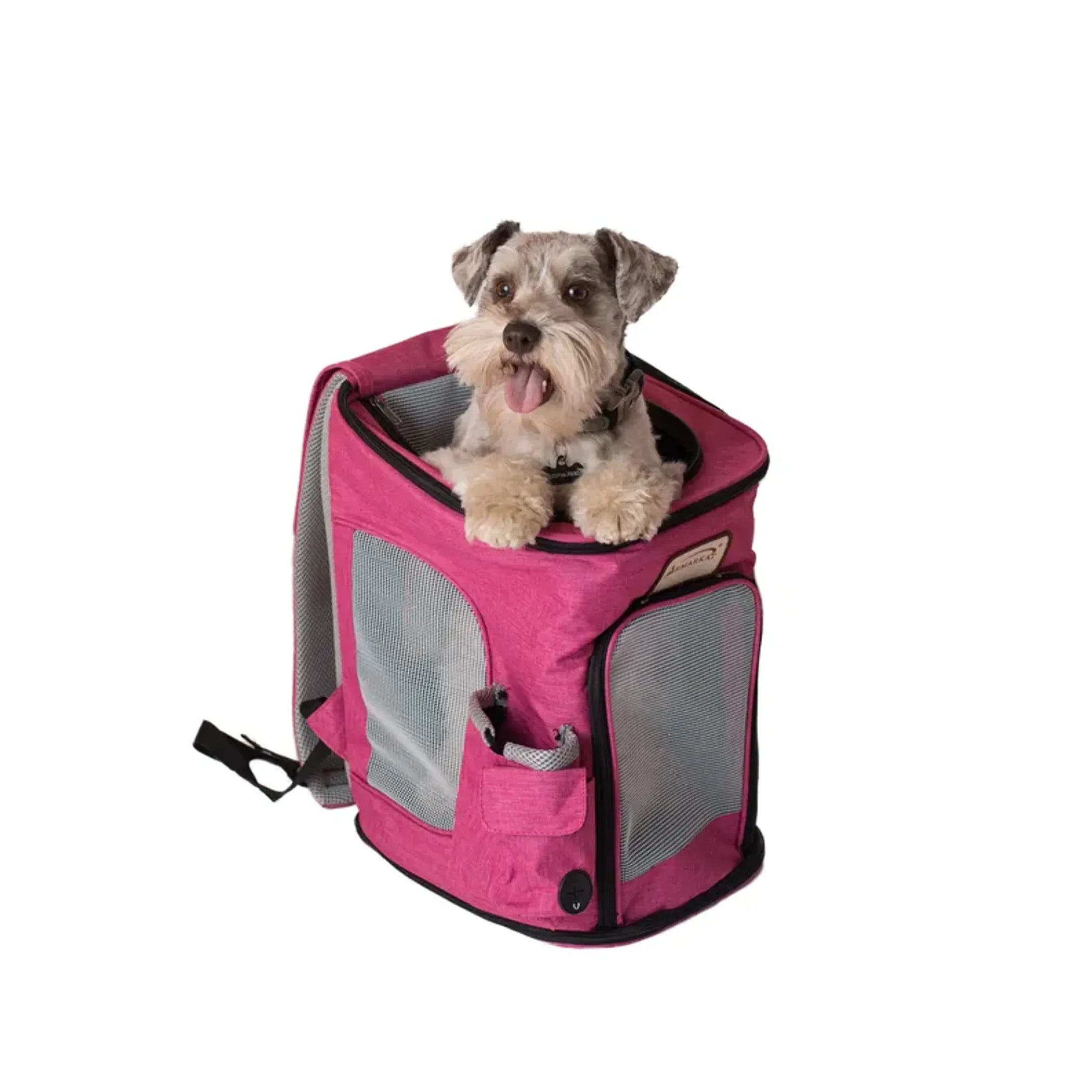 Armarkat Pets Backpack Pet Carrier | Purrfect Pet Haven