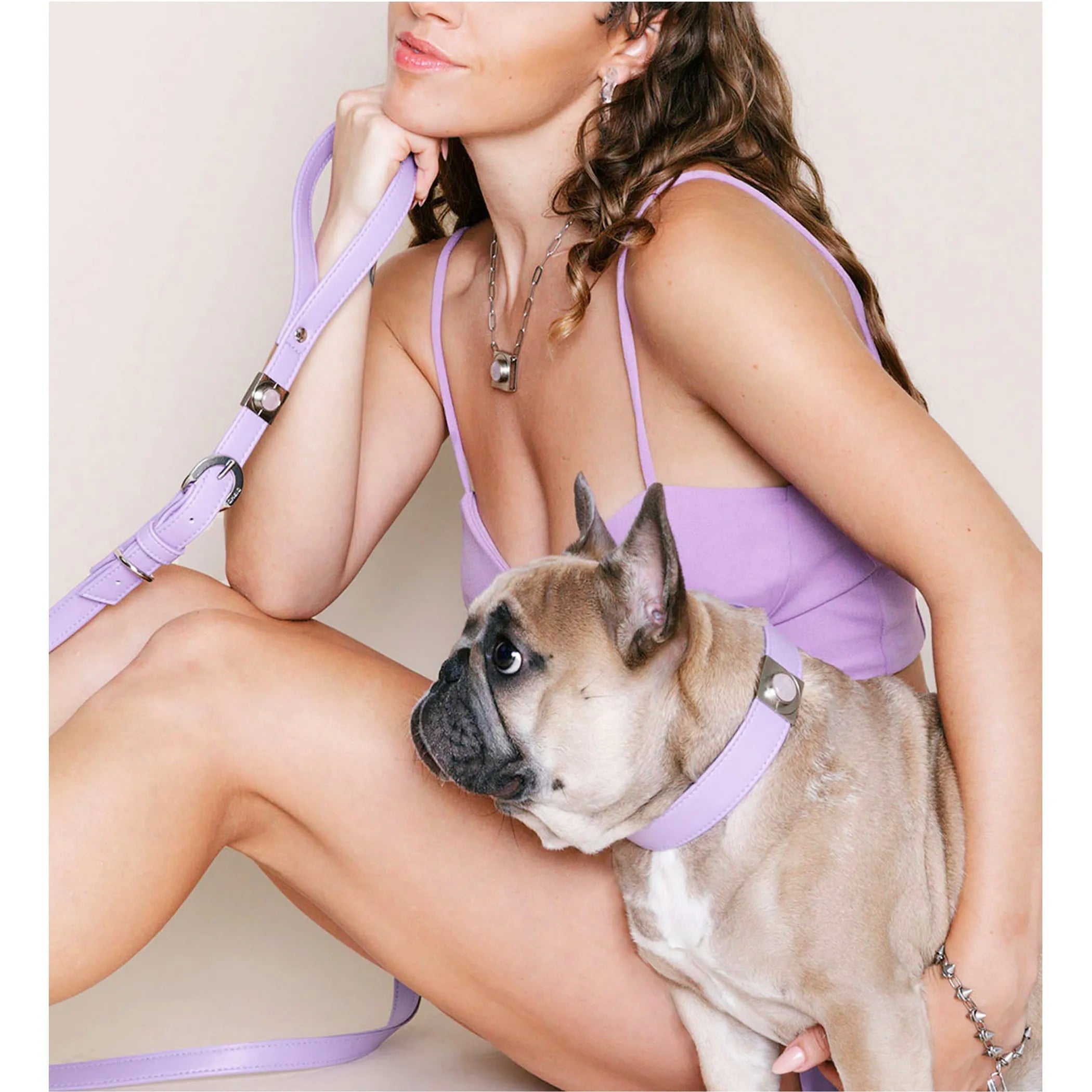Lavender Rose Collar Charm Set | Purrfect Pet Haven