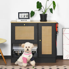 Elevated Dog Bowl Stand - 2 Bowls with Storage Cabinet