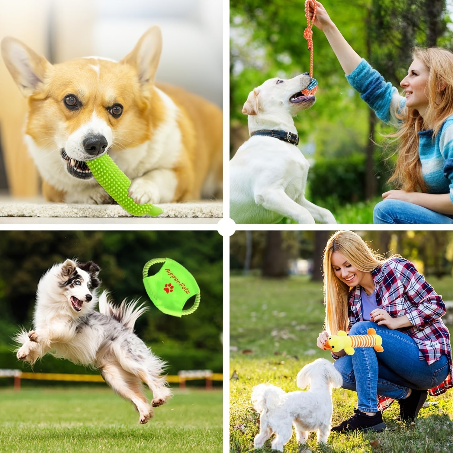 25pcs Set Of Dog Toys | Chew Toys For Dogs - Used For Teeth Cleaning