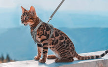 Anti-Escape Cat Harness - Breathable Mesh Leash Set