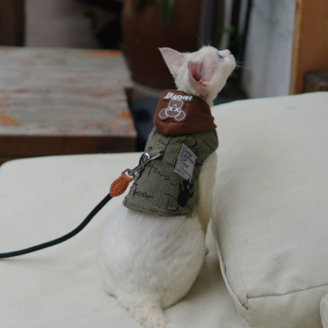 White cat wearing a brown and green outfit on a white surface