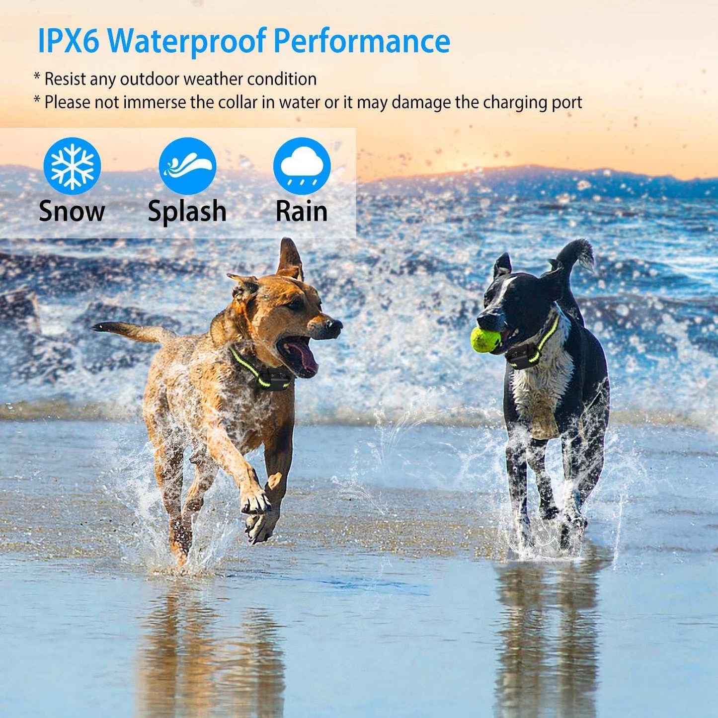 Smart Dog Bark Collar - Rechargeable & Adjustable - Purrfect Pet Haven