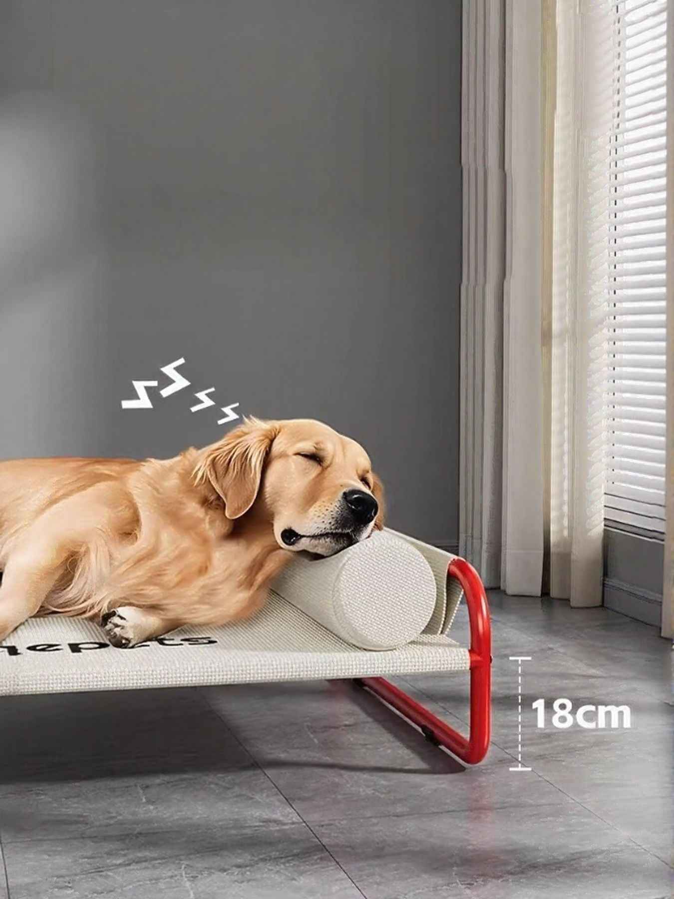 Foldable Pet Bed