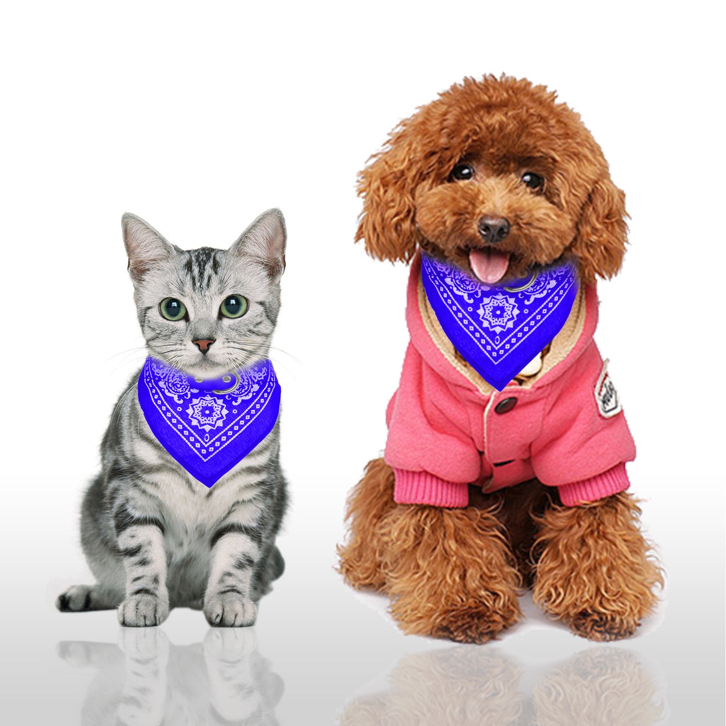 Pet Bandana Collar Adjustable - Leather Triangle Scarf