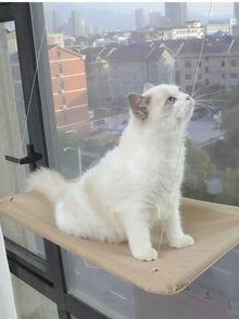 Window Perch Cat Hammock with Suction Cups