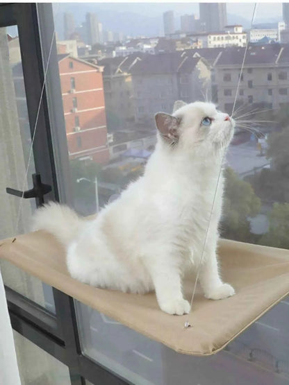 Window Perch Cat Hammock with Suction Cups