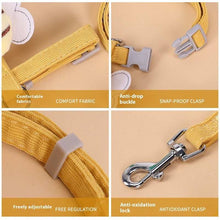 Yellow dog leash with features highlighted on a beige background