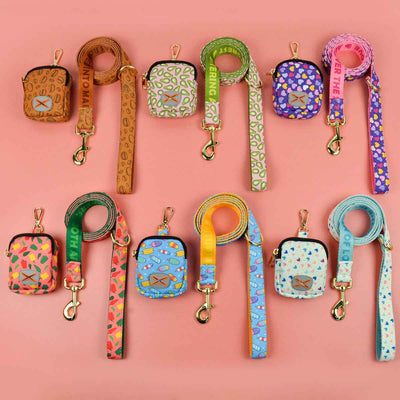 Dog Leash with Poop Bag Holder - Matching Set - Purrfect Pet Haven
