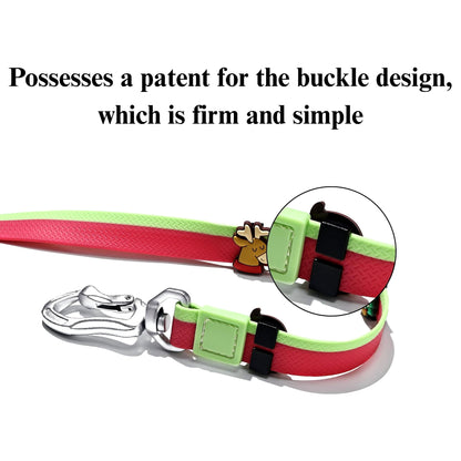DIY Pet Leash Set - Dual-Color Embossed with 12 Accessories