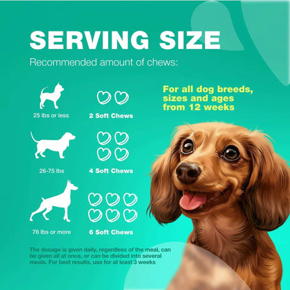 70 Probiotic Chews Support Gut Health, Yeast Balance, Itchy Skin and Allergies For Dogs