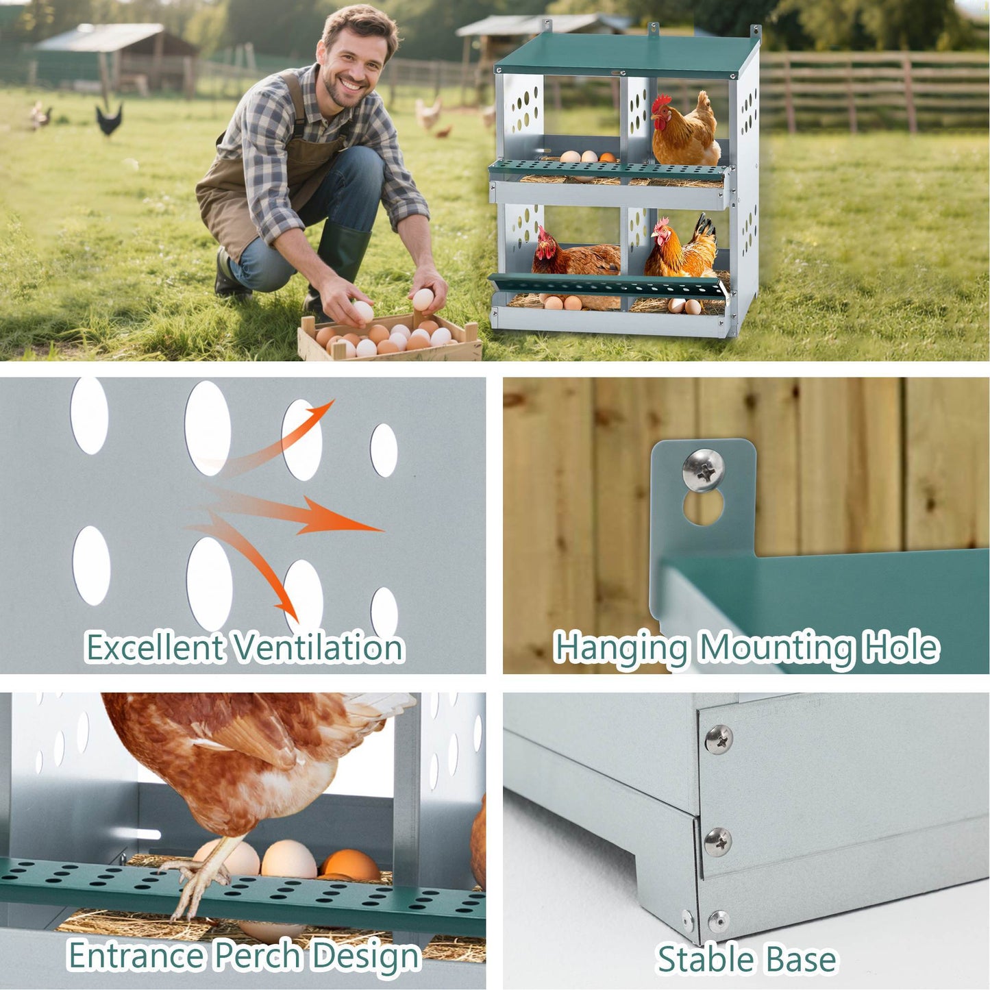 4-Compartment Metal Chicken Nesting Box - Wall Mount