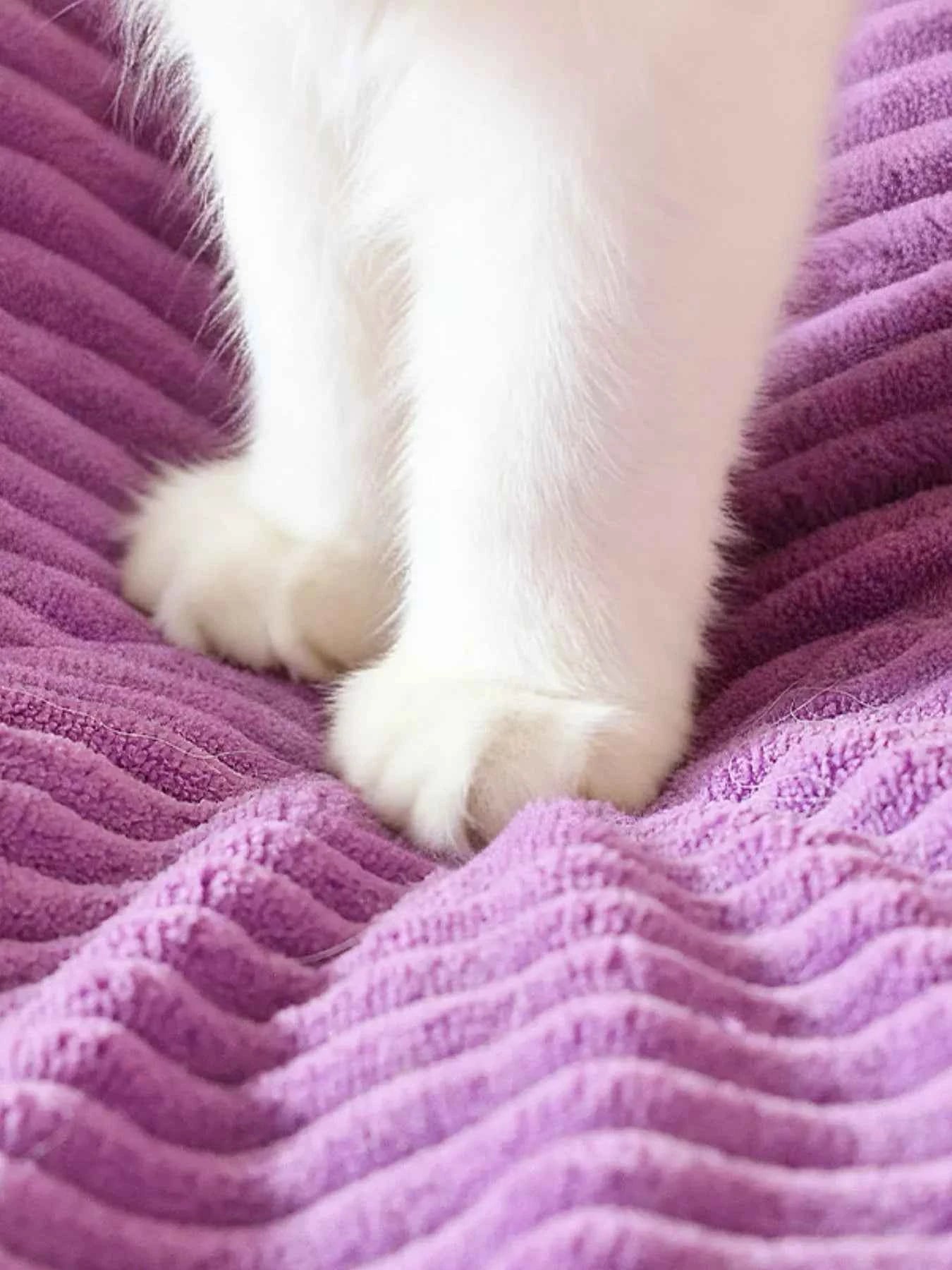 Cute Cartoon Style Pet Nest with Hanging Ball