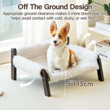 Raised Cat Bed - Elevated Plush 44lb Support