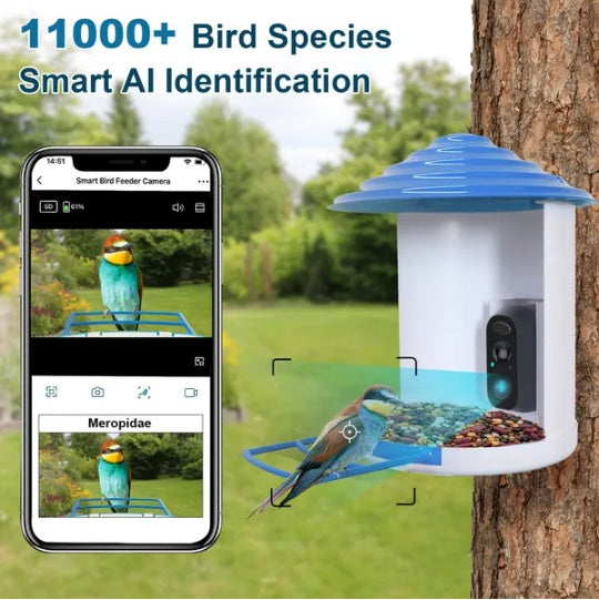 Smart AI bird feeder with smartphone app displaying bird identification on a tree background