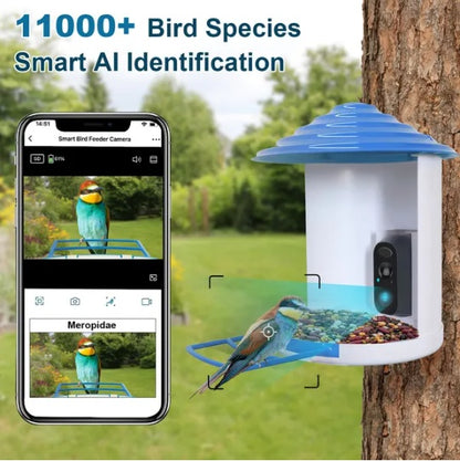 Smart AI bird feeder with smartphone app displaying bird identification on a tree background