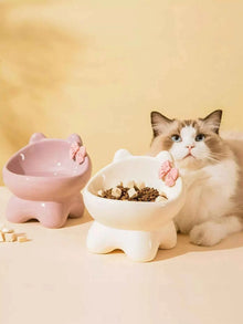 Ceramic Pet Bowl with Bowknot