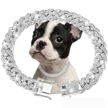 Stylish Cuban Link Chain for Small, Medium, and Large Dogs and Cats | Purrfect Pet Haven