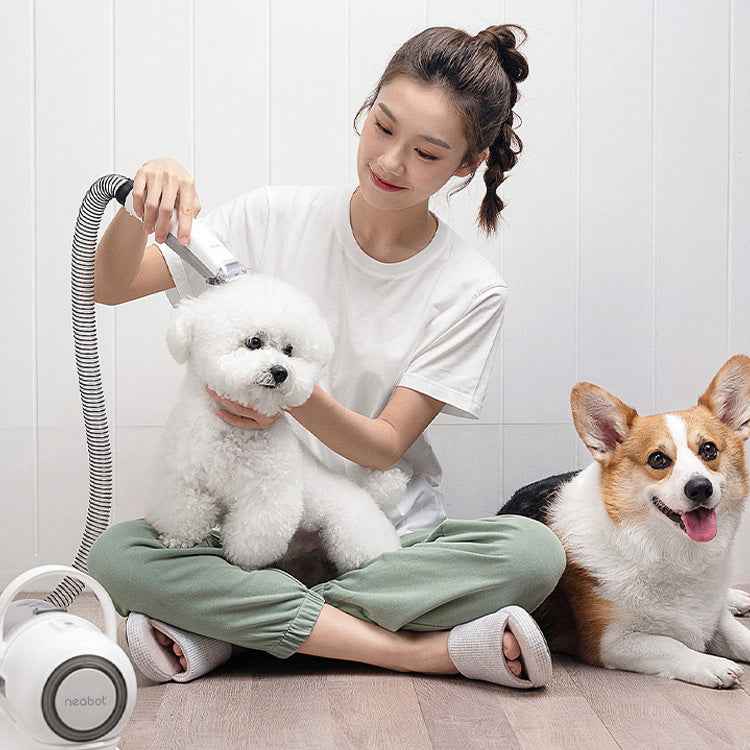 Quiet Pet Grooming Vacuum for Nervous Dogs - 9000Pa Power - Purrfect Pet Haven