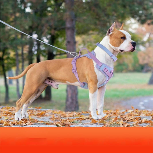 Dog Collar Harness Hand Holding and Rope Leash - Easy Control