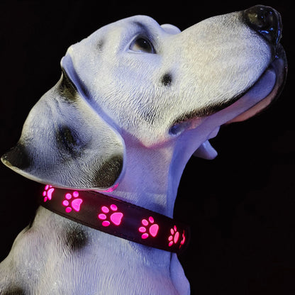 LED Dog Collar - 7 Color Luminous Paw Print USB Rechargeable