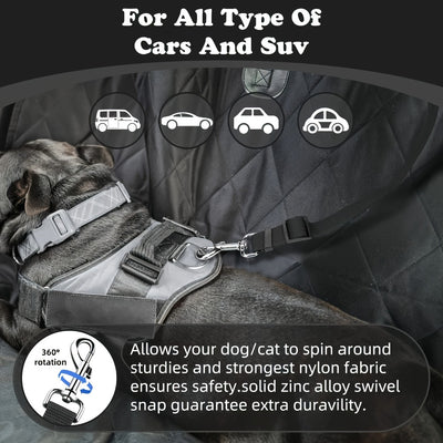 Dog Leash Set - Two-Piece Collar & Leash for Training