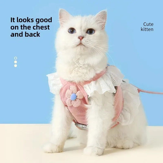 White kitten wearing a pink floral harness against a blue background