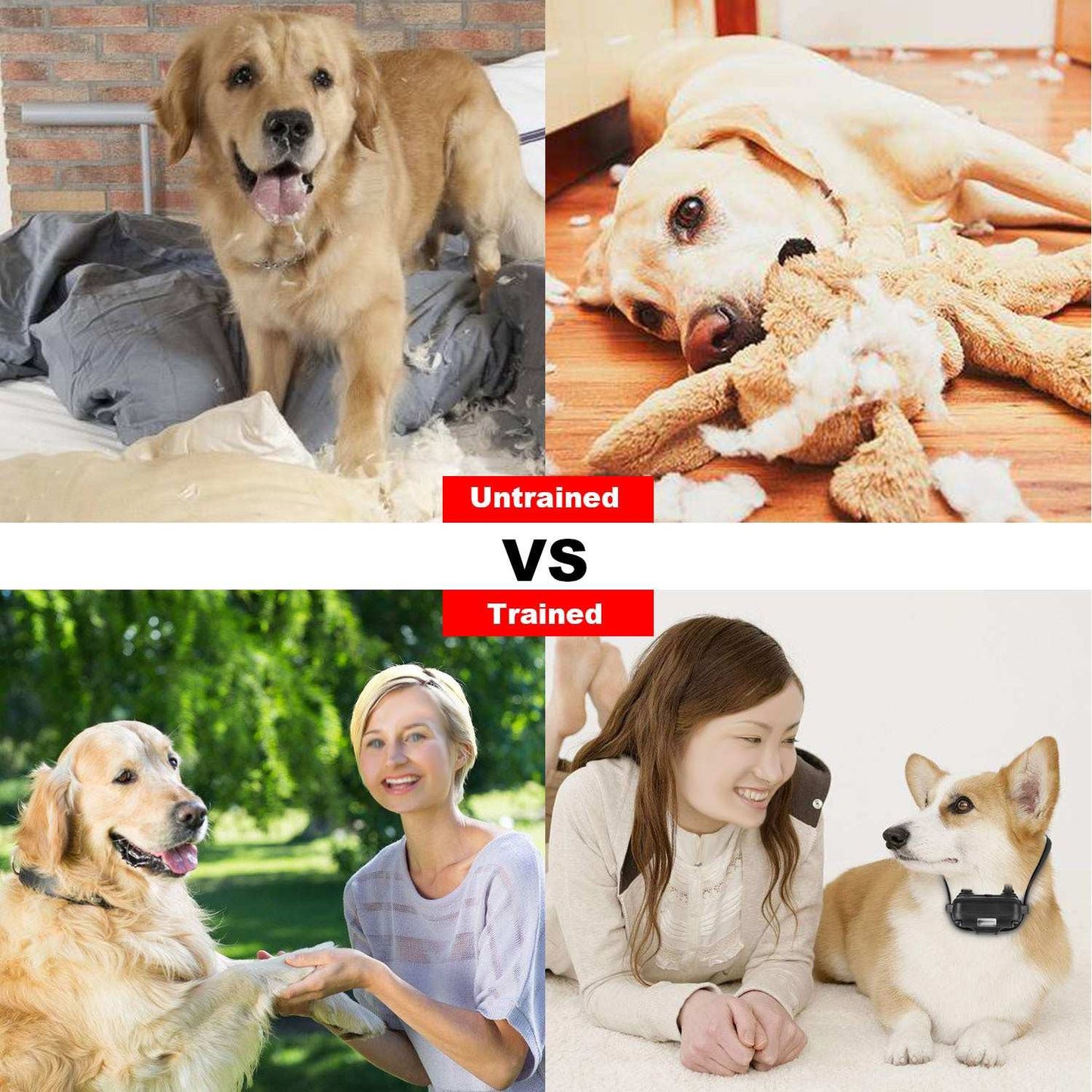 Dog Training Collar With Remote IP67 Waterproof Pet Trainer 300mAh Rechargeable 875 Yard Remote Control 4 Modes Adjustable Level
