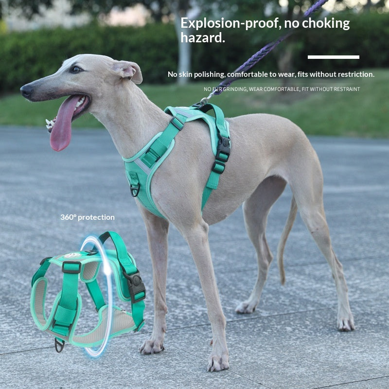 Dog Harness - Large Chest Style with Leash