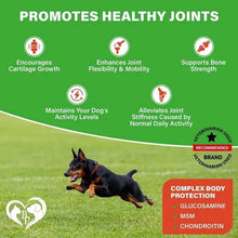 Dog Hip Joint Supplement - Glucosamine Chondroitin Arthritis Relief