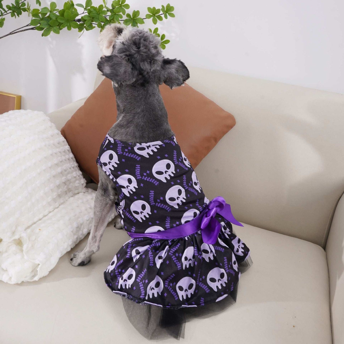 Halloween Dog Costume Outfit - Festive Pet Clothing for Spooky Season