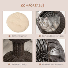 Cat Egg Chair Pod - Mat Grass Woven Rotating Basket Bed