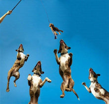 Dog Flirt Pole - Extendable Teaser Wand for Training