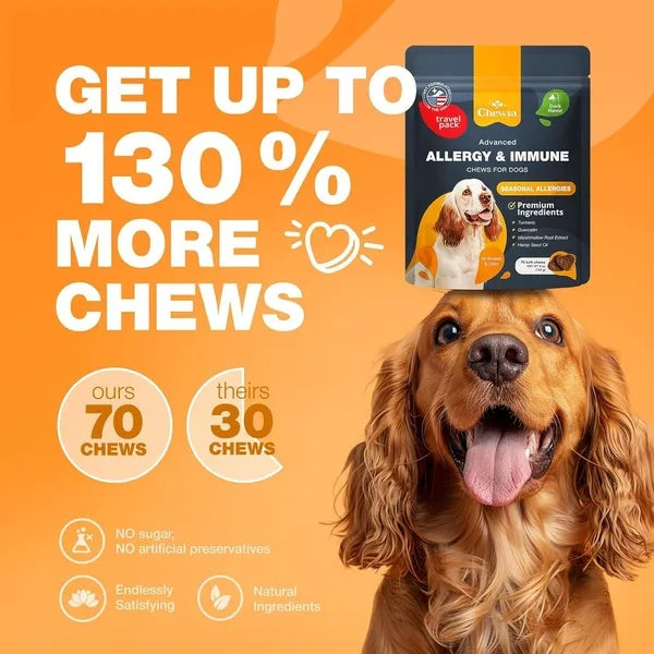 Dog Allergy Relief Chews - Itch Support - Purrfect Pet Haven